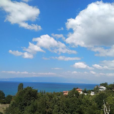 The Brothers Villa Hotel Ohrid Esterno foto