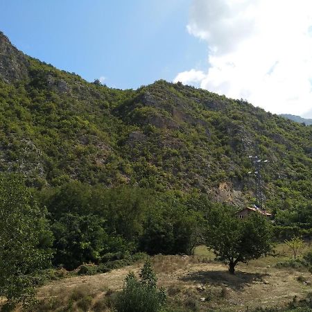 The Brothers Villa Hotel Ohrid Esterno foto