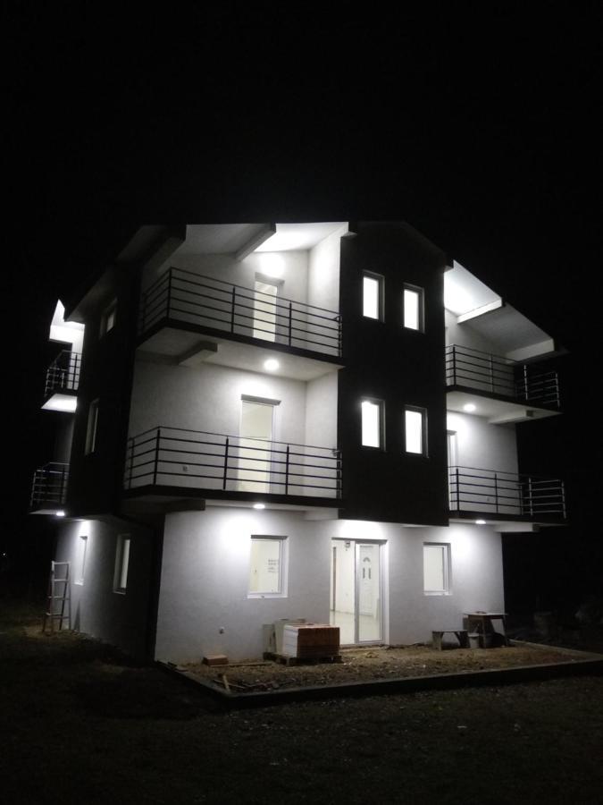 The Brothers Villa Hotel Ohrid Esterno foto