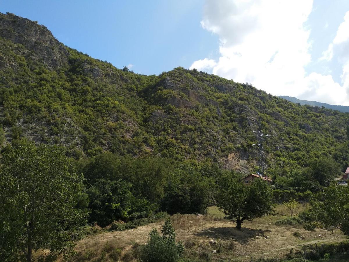 The Brothers Villa Hotel Ohrid Esterno foto