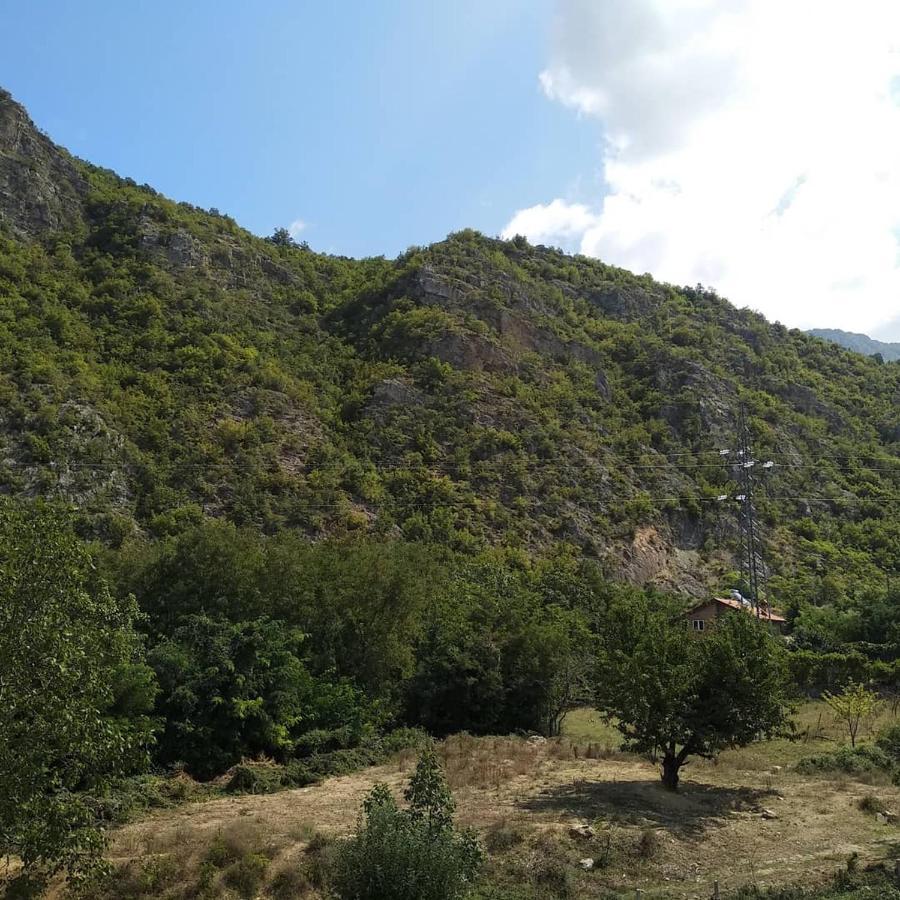 The Brothers Villa Hotel Ohrid Esterno foto